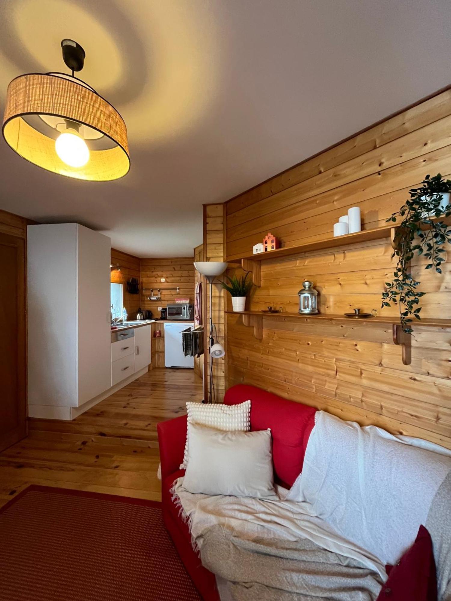 Chalet Des Myrtilles - Chalet Cosy Avec Vue Arette Eksteriør billede